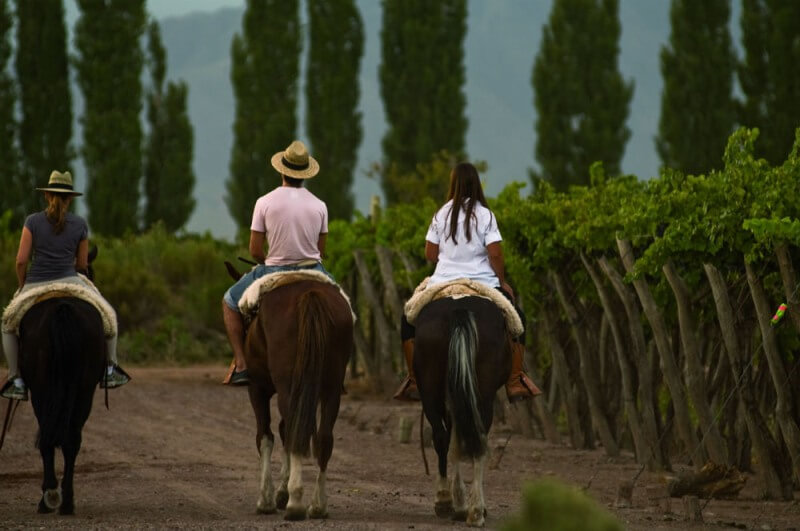 Argentina honeymoon itinerary, Mendoza