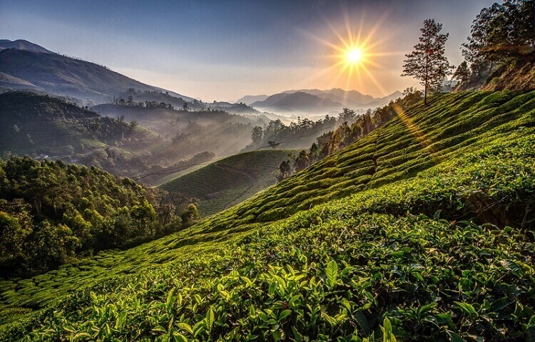 Munnar