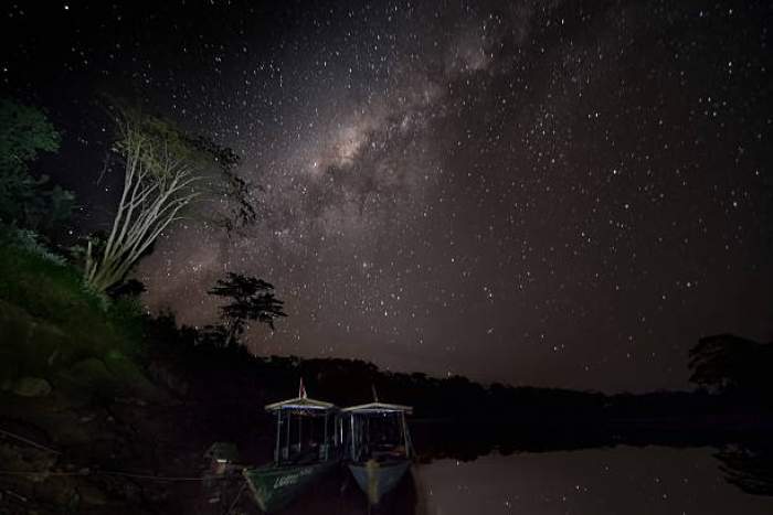 Amazon Rainforest, Brazil