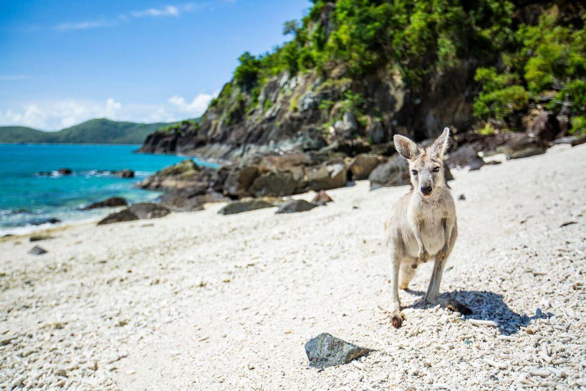 Australia