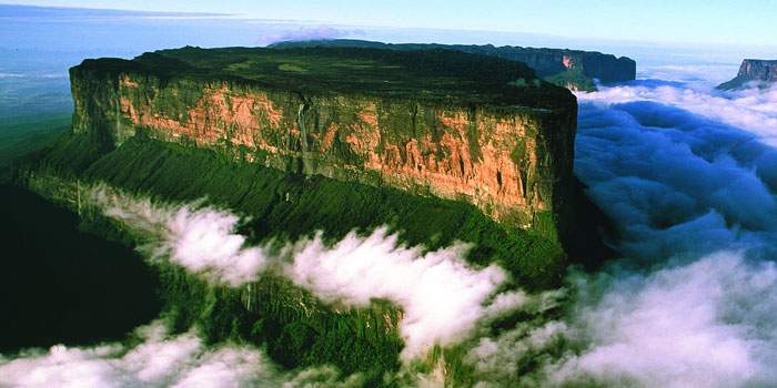 Venezuela nature