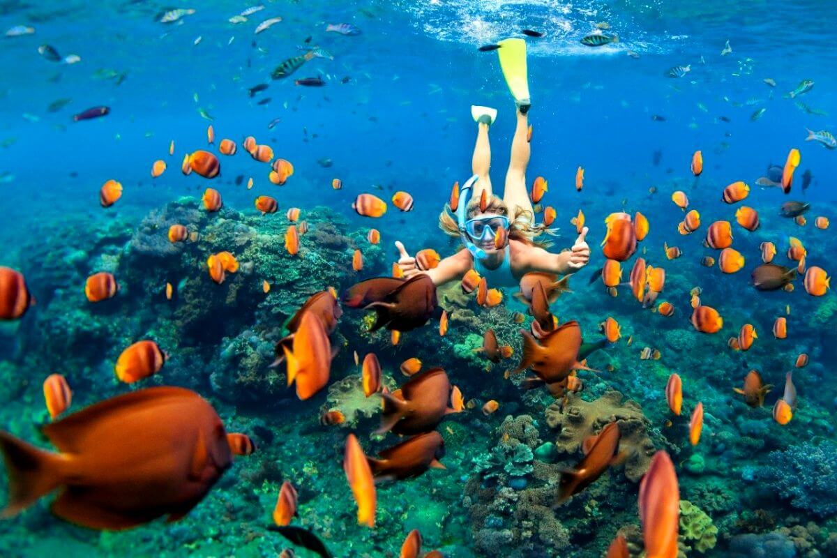 Australia 
