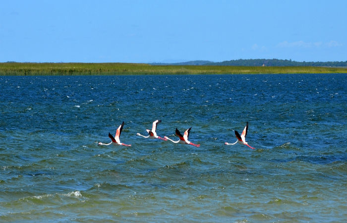 largest lake in south africa