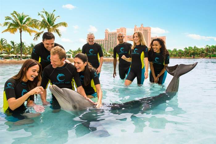 Dolphin Cay Atlantis, Bahamas