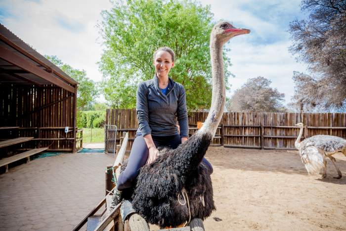 south african adventure