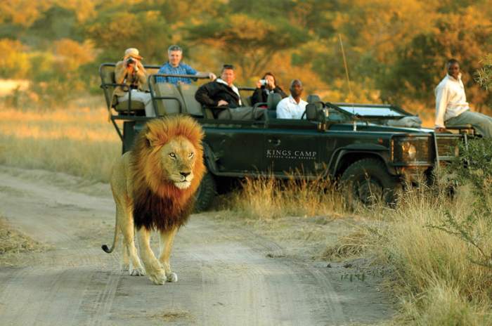 places to visit in south africa