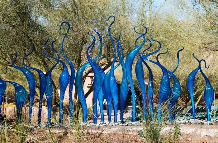 Desert Botanical Gardens, Phoenix, Arizona