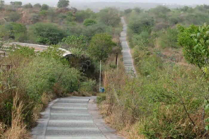 Aravalli Biodiversity Park
