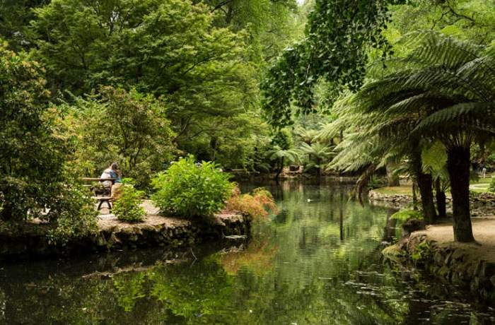 Dandenong Ranges