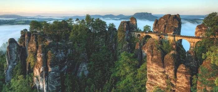 Germany vegetation