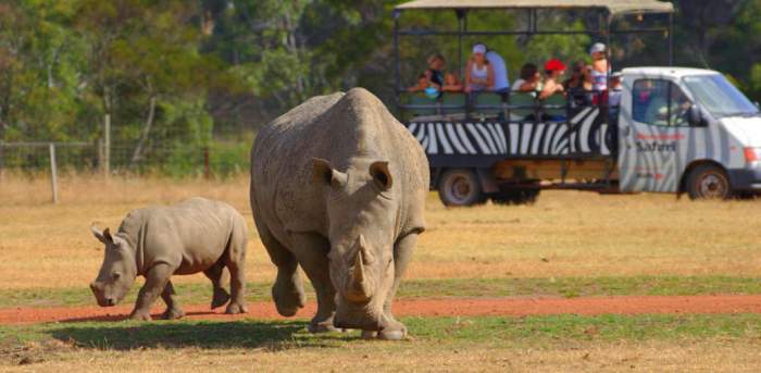 Off-Road At Werribee Zoo