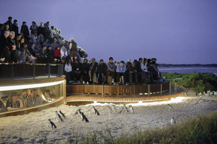 The Philip Island, Melbourne zoo