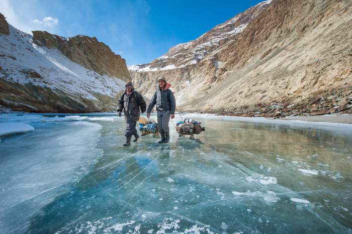 chadar trek