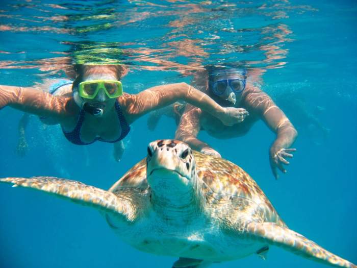 snorkeling and scuba diving in Seychelles 