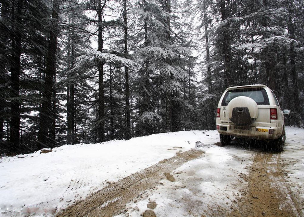 Narkanda to Sangla