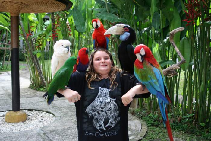 Bali Bird Park