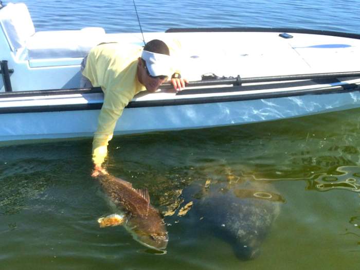 Inshore Fishing
