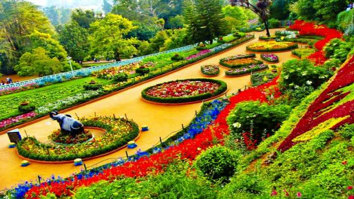 Ooty
