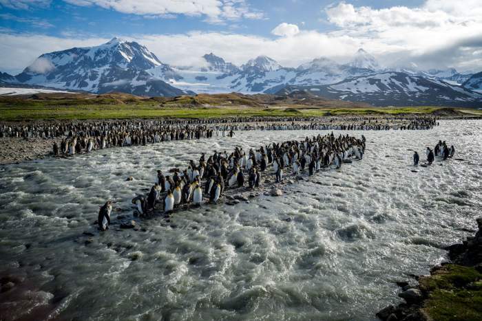 South Georgia Island