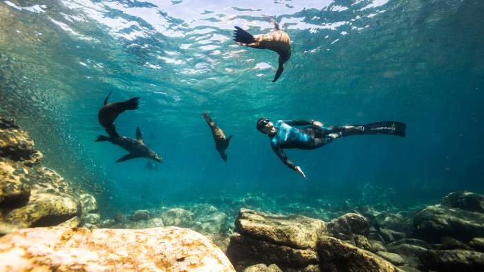 Spear Fishing
