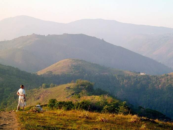 idukki cinnamon hills