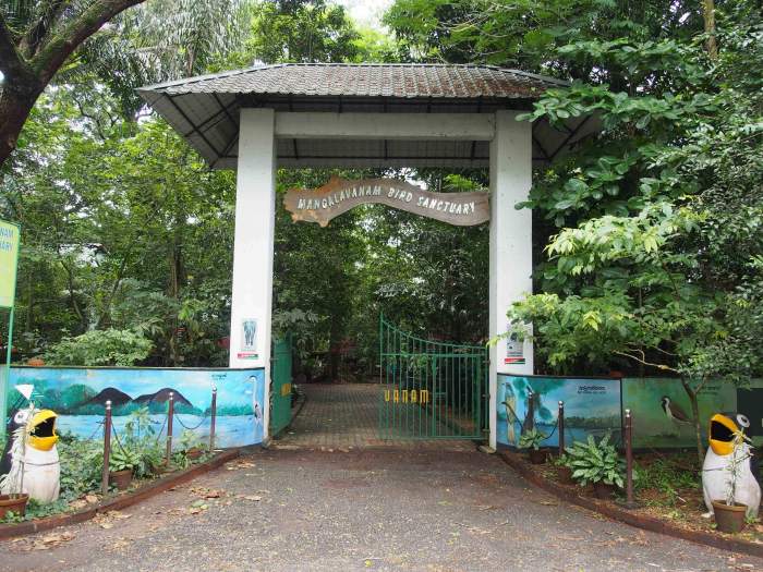 Mangalavanam Bird Sanctuary