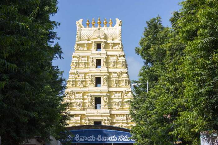 Srikalahasti and Srisailam, Andhra Pradesh