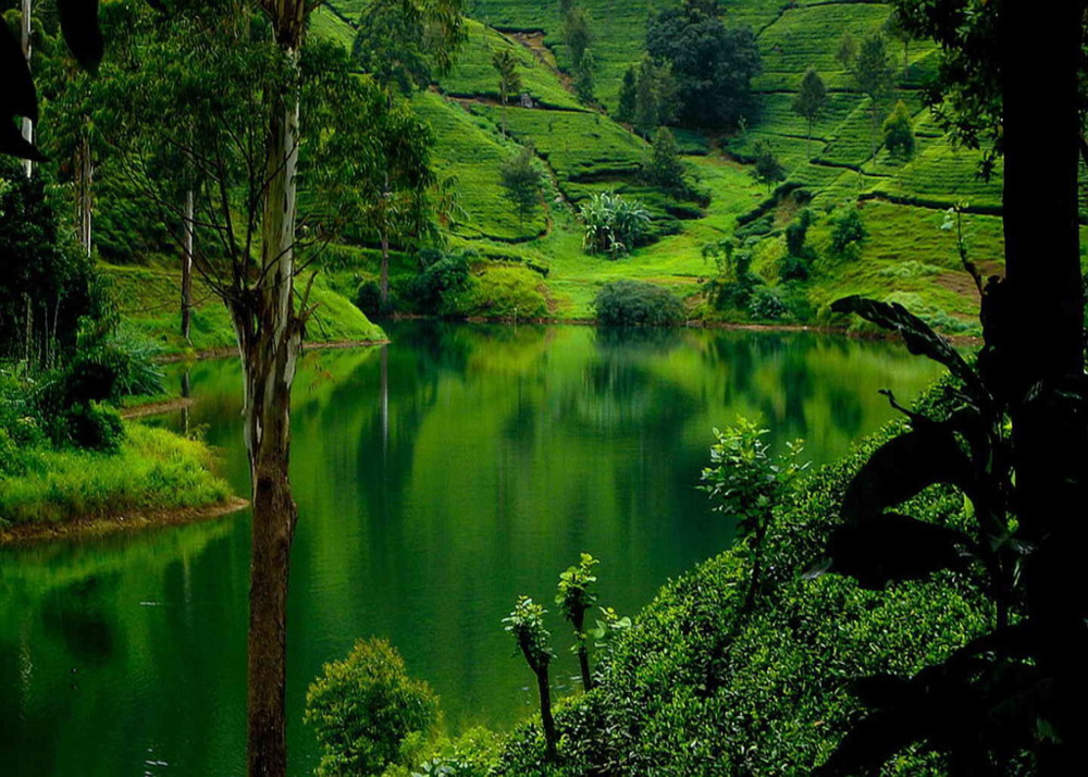 Nuwara-Eliya-