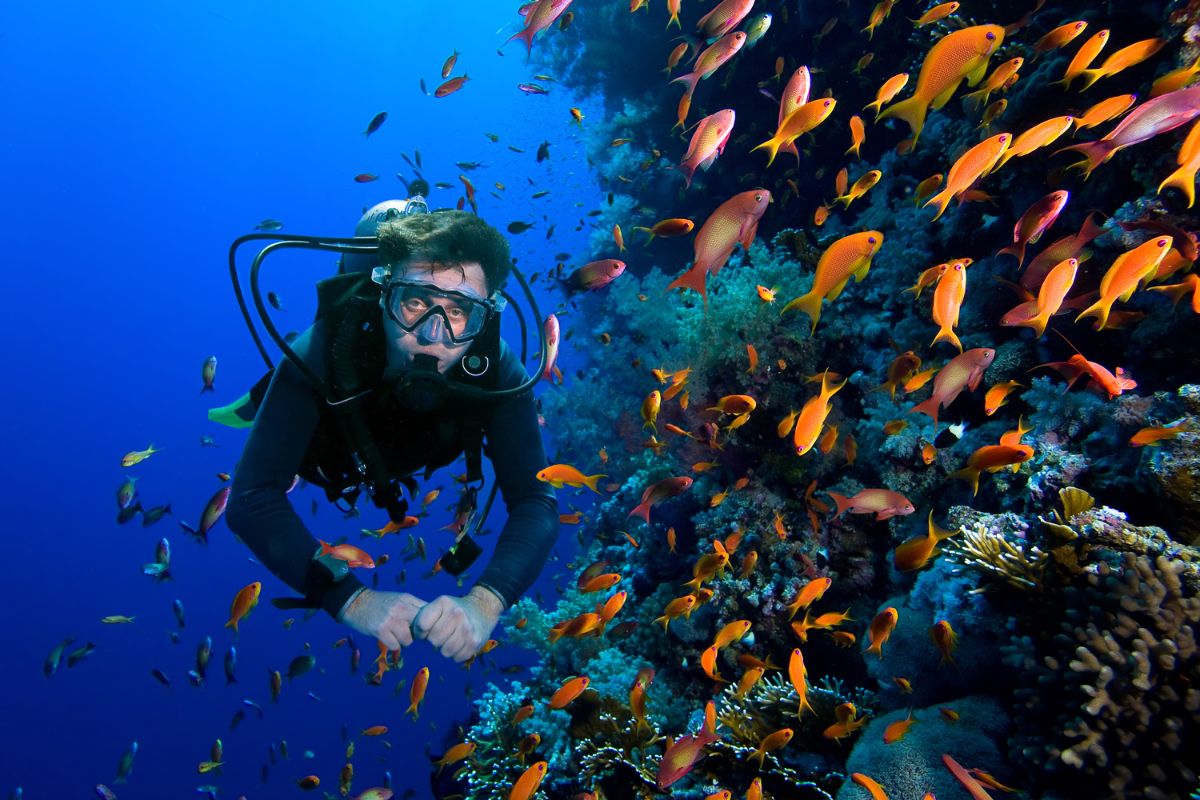 Scuba Diving
