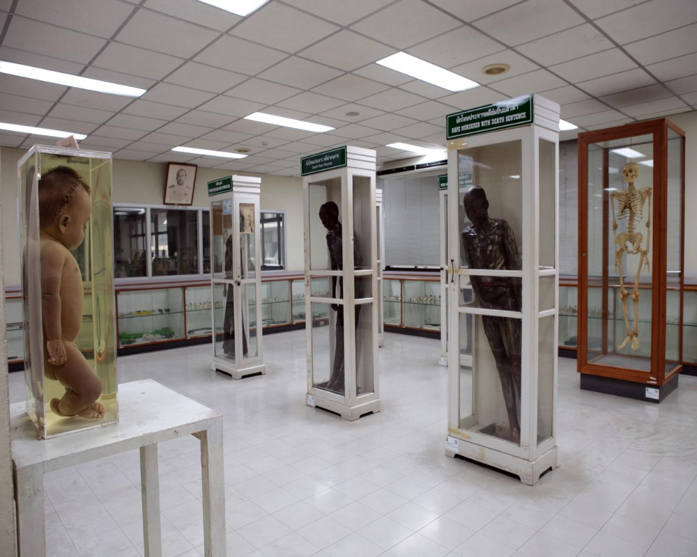 Siriraj medical Museum 