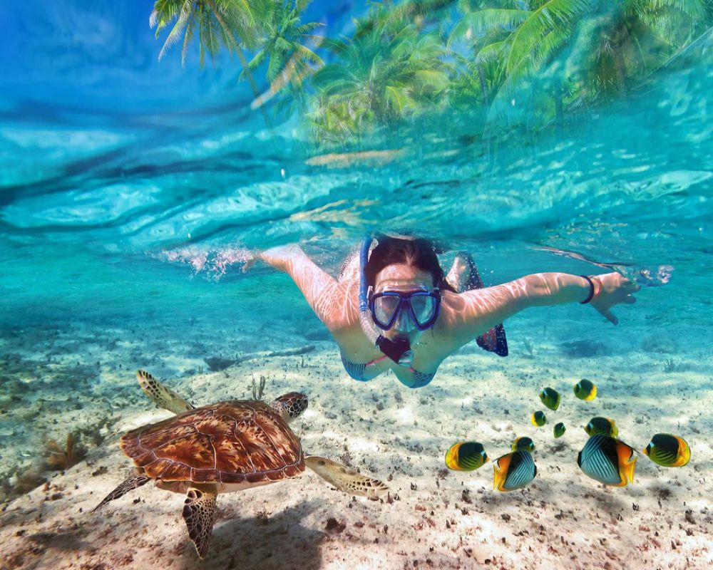 krabi-snorkeling