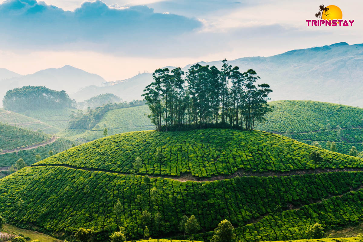 Munnar