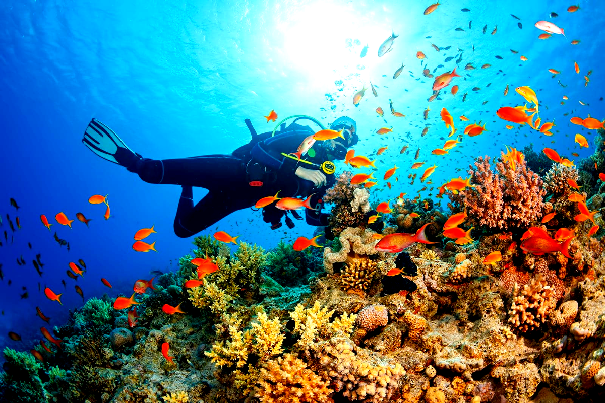best places in India 