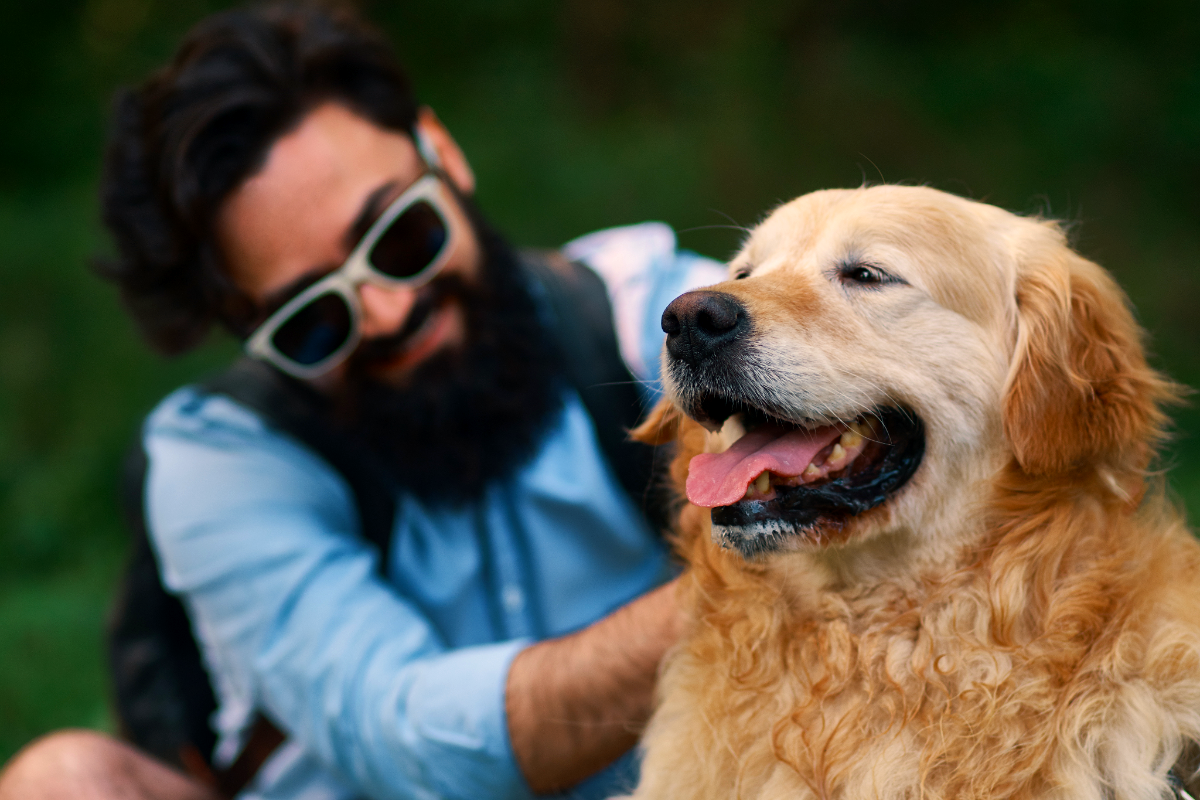 pet friendly stays