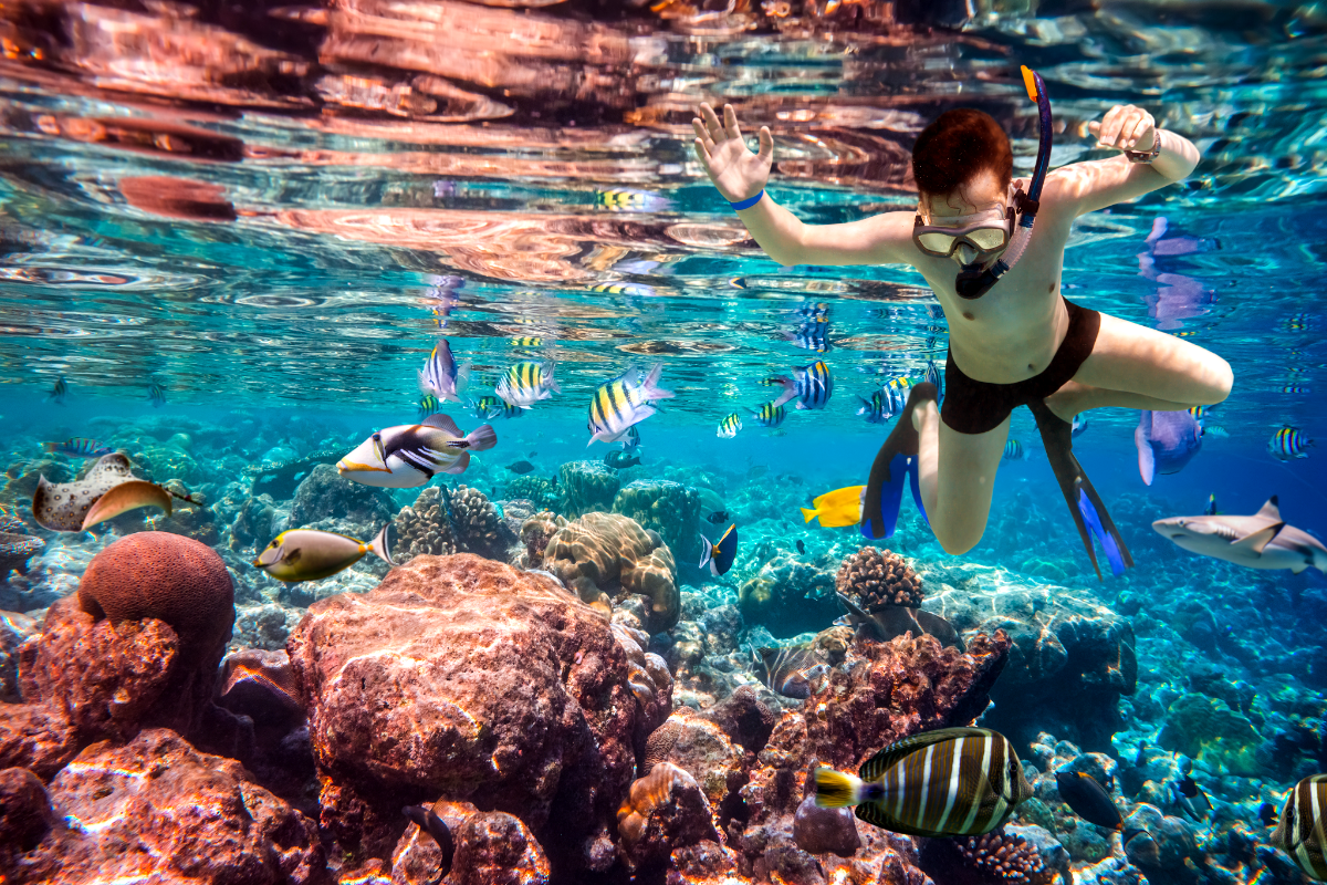 holidays to maldives 