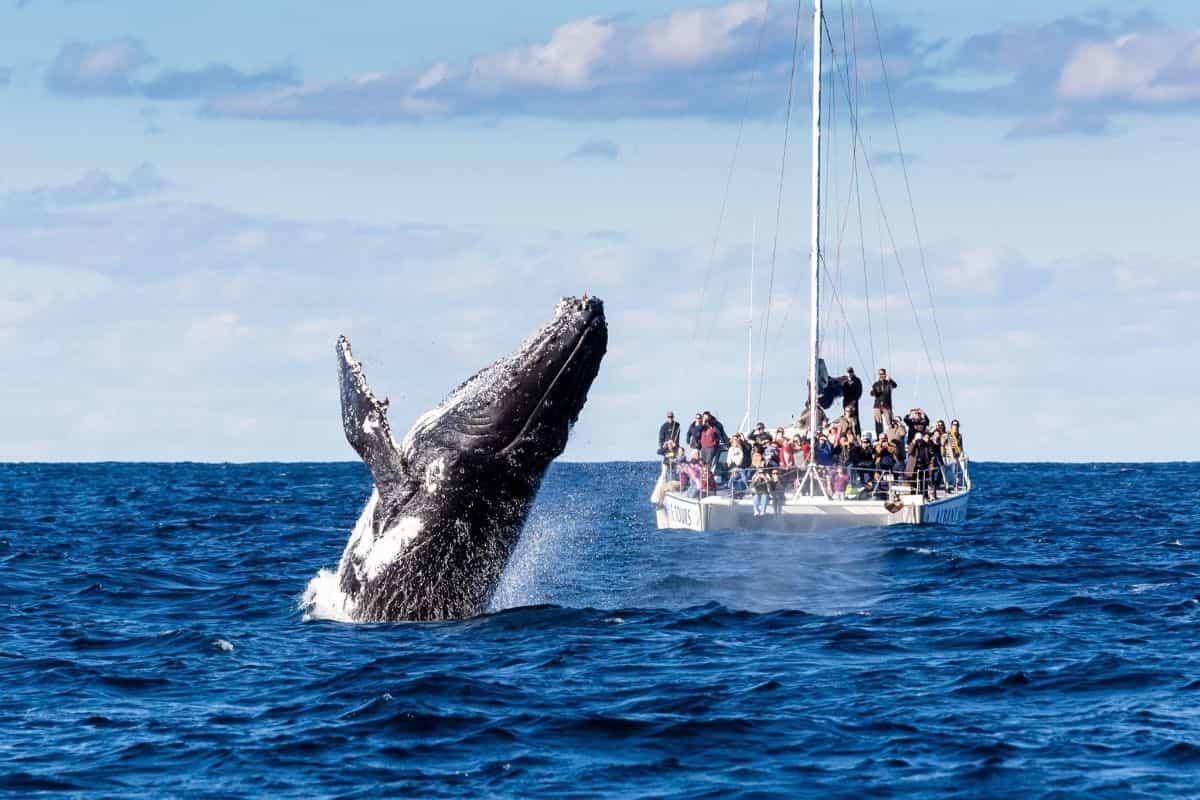 Western Australia 