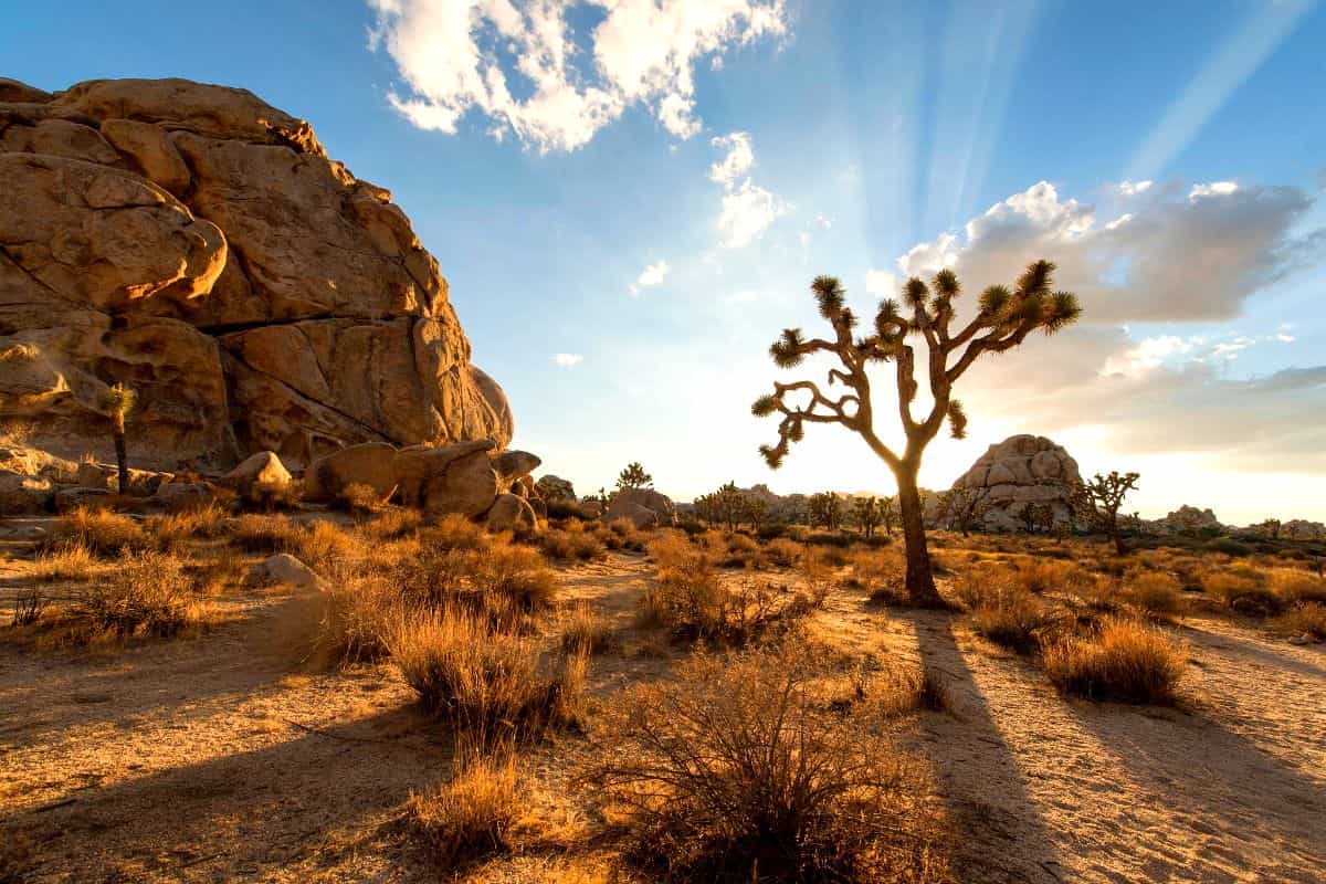 California 