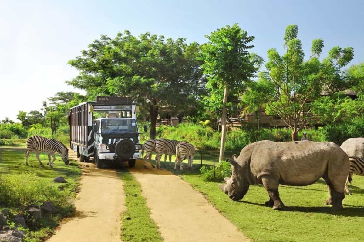 Bali 