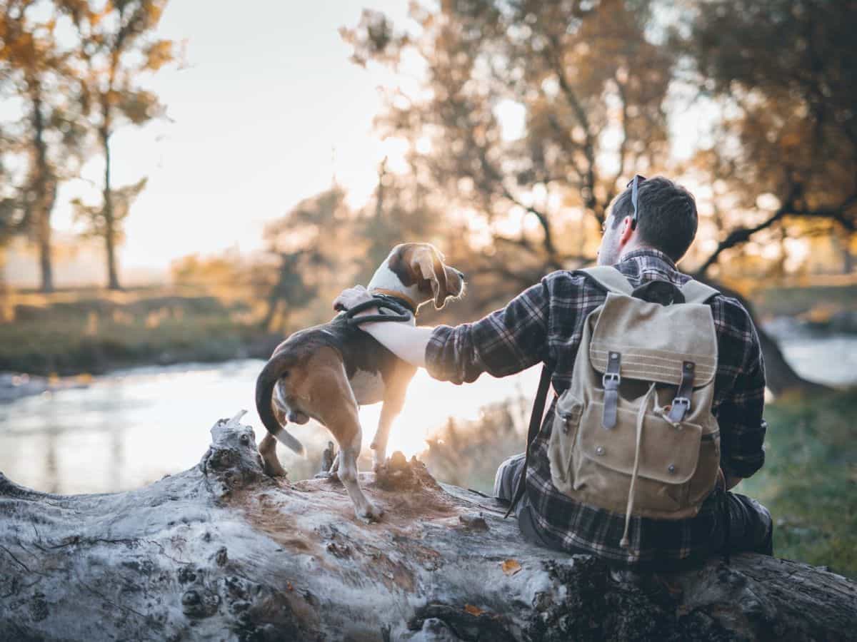 dog friendly vacation ideas California