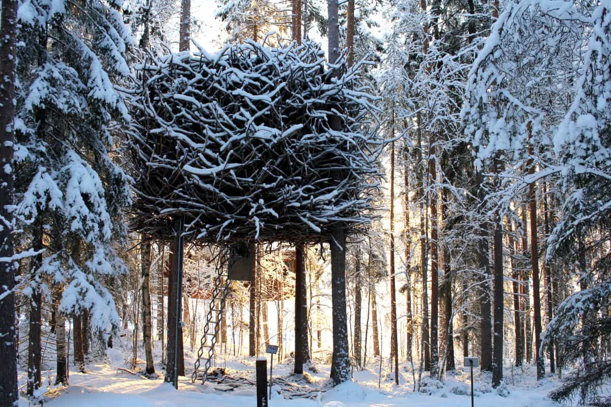 best tree houses 