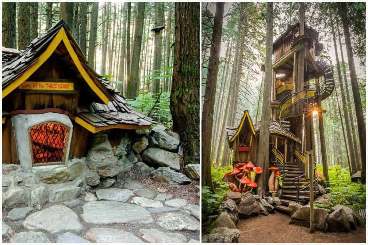 tree houses hotel 