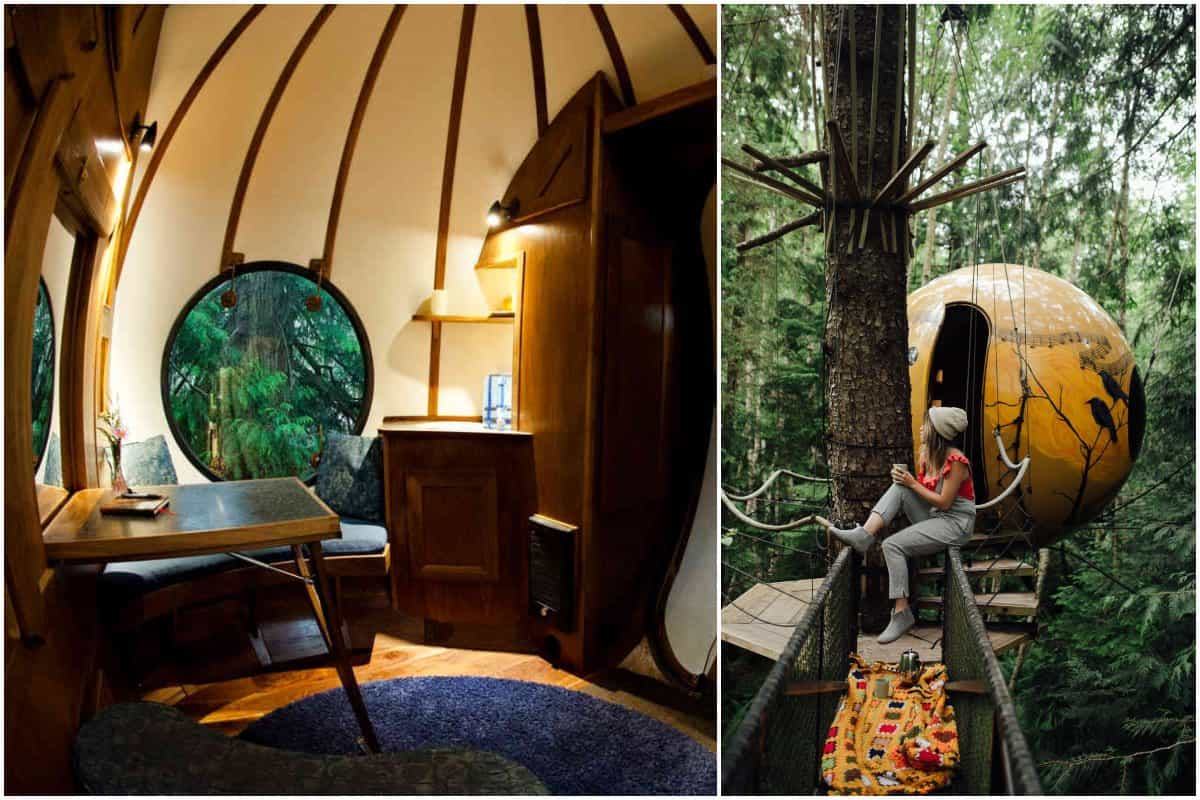 luxury tree houses