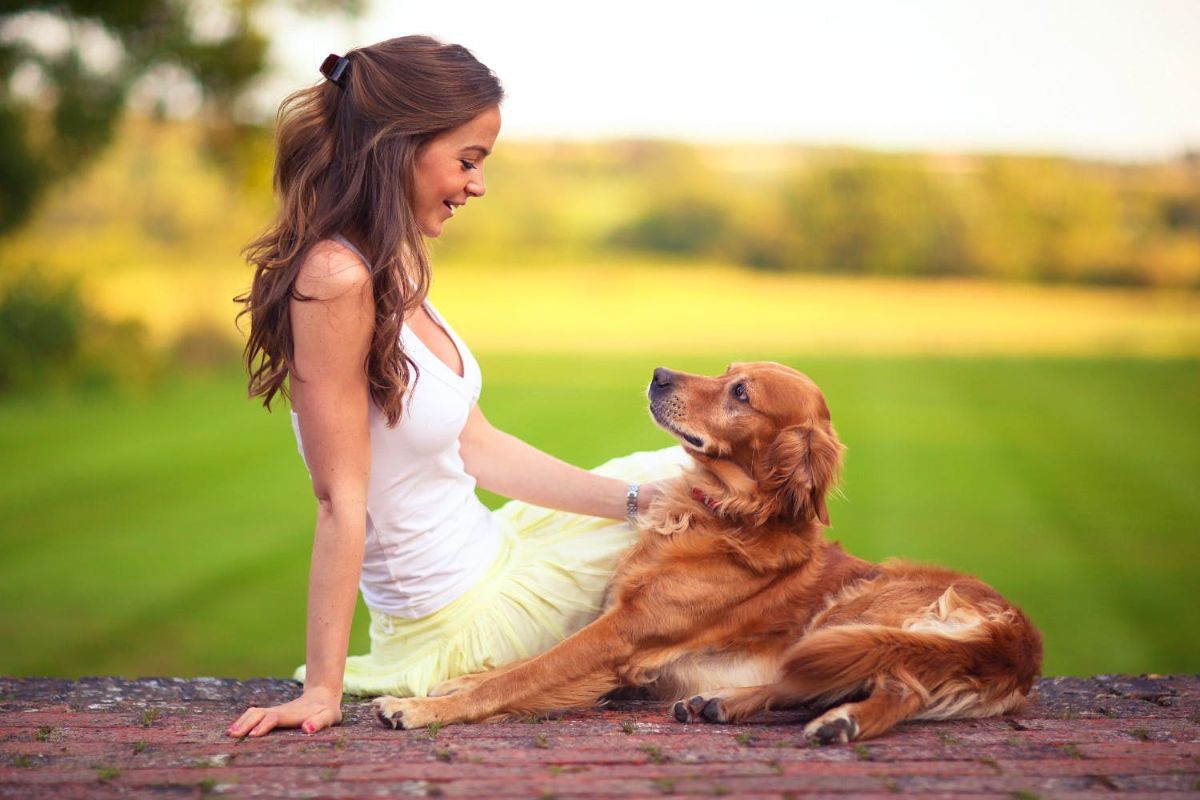dog friendly vacation ideas California