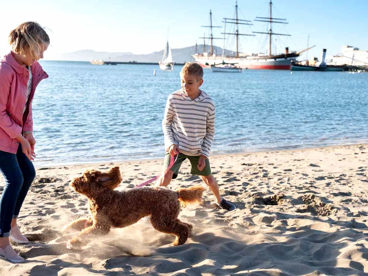 dog friendly vacation ideas California