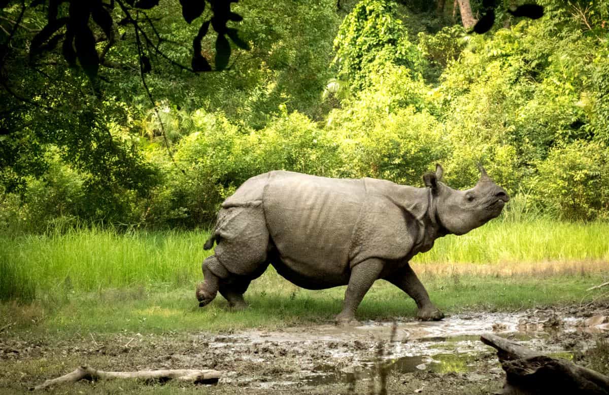 national parks in nepal