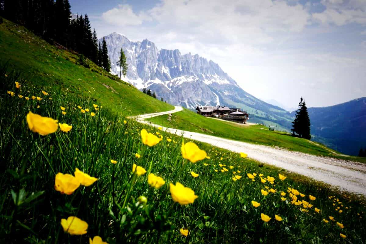 top-rated tourist attractions in Austria