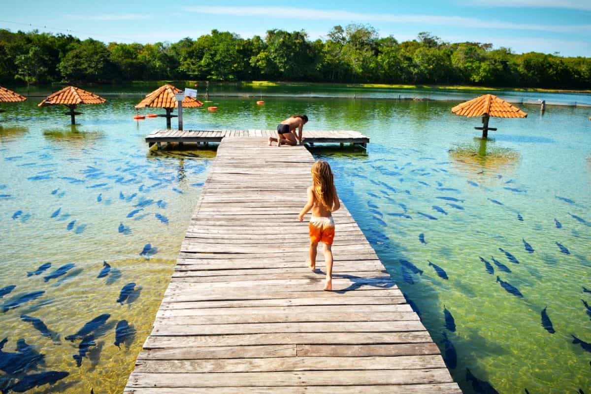 best things to do in Bonito