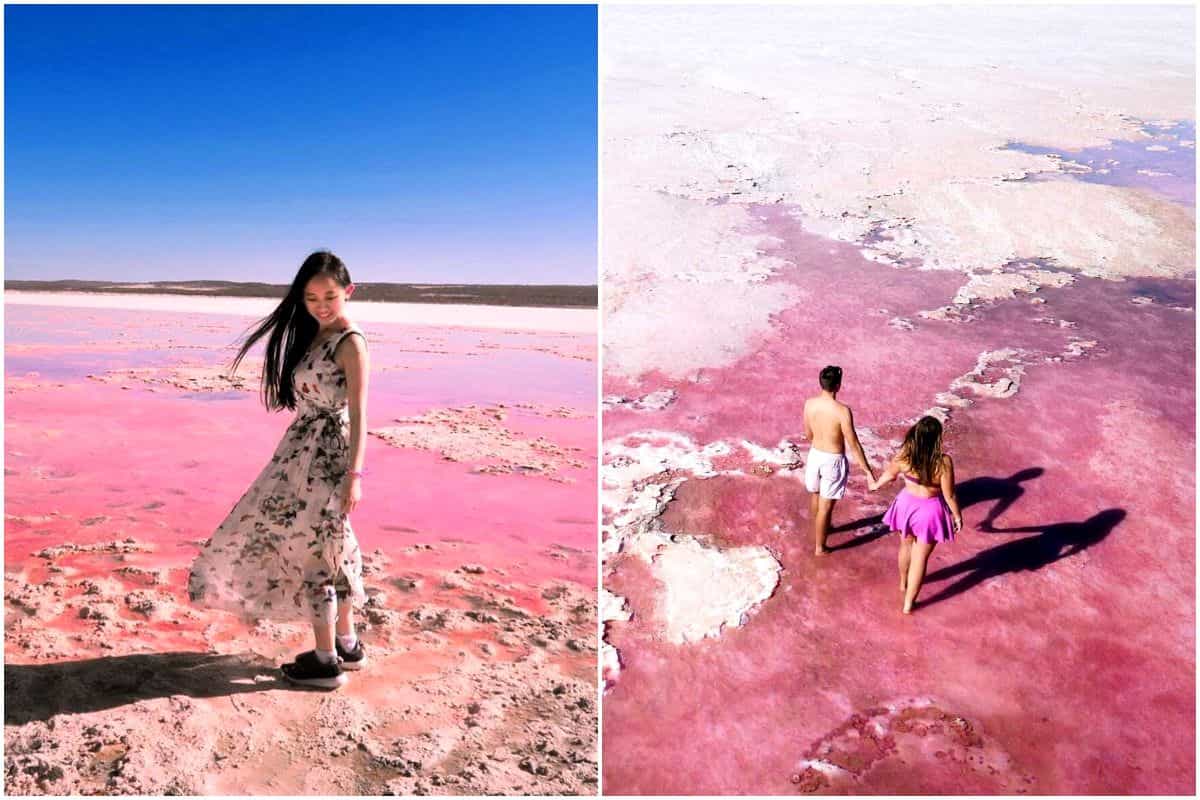 pink lakes around the world