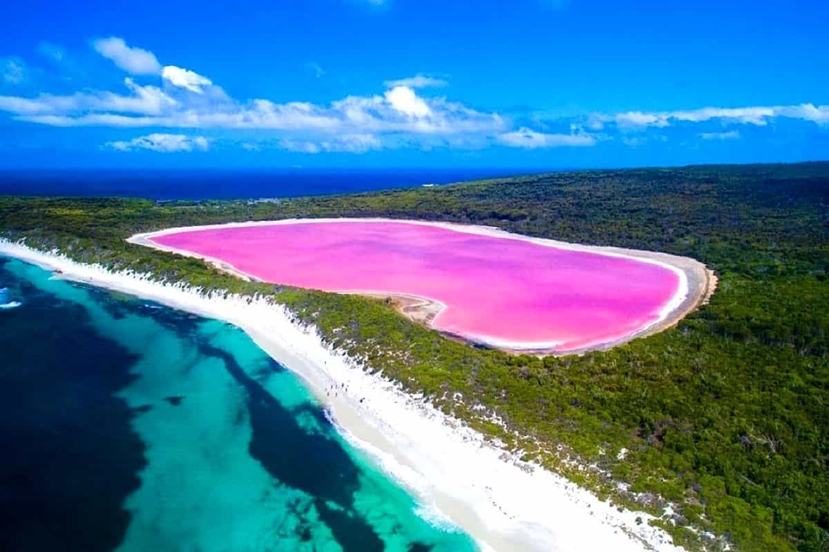 pink lakes around the world