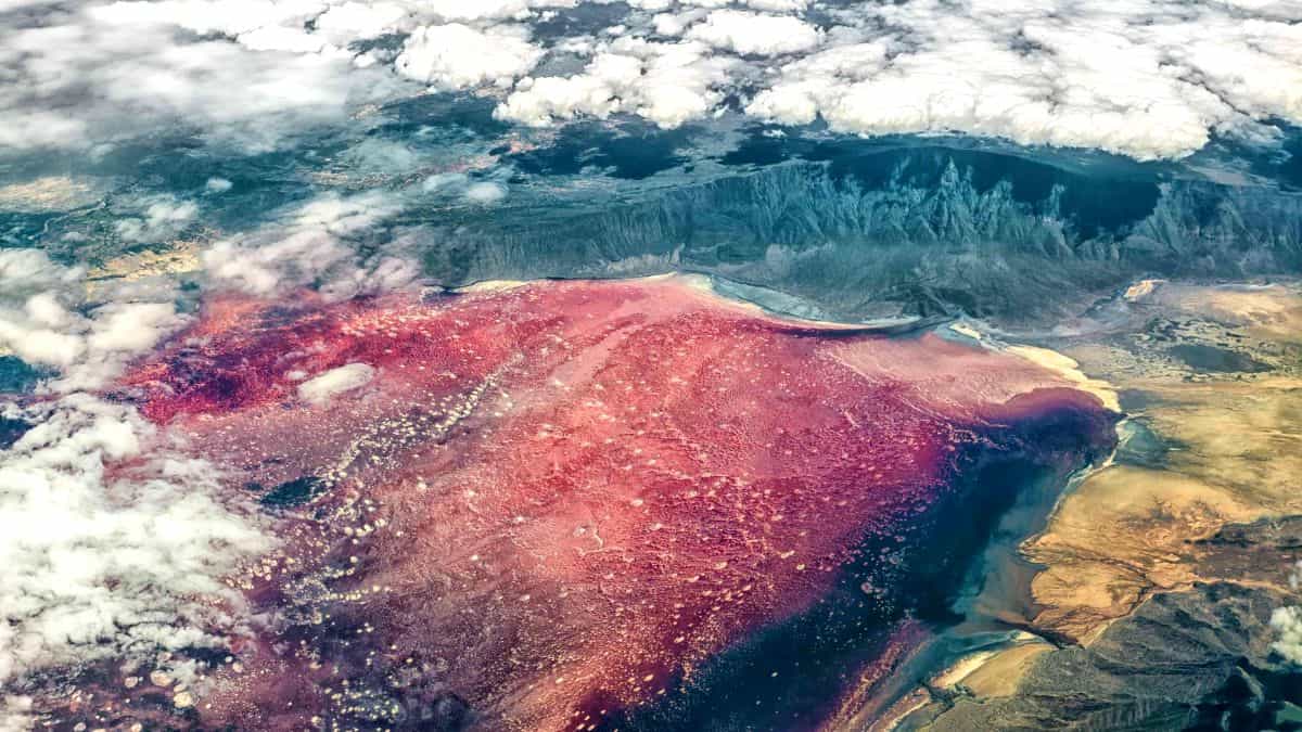 pink lakes around the world